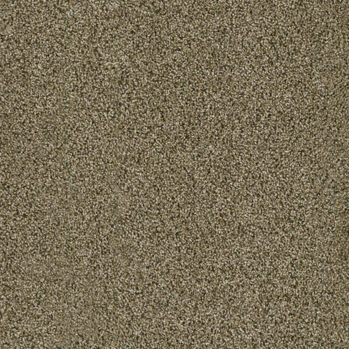 Acclaim in Island Spice Carpet