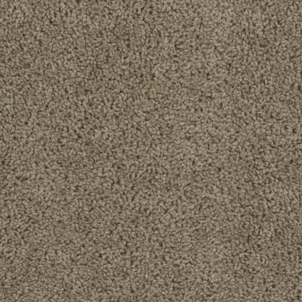Tracker in  honey Beige Carpet