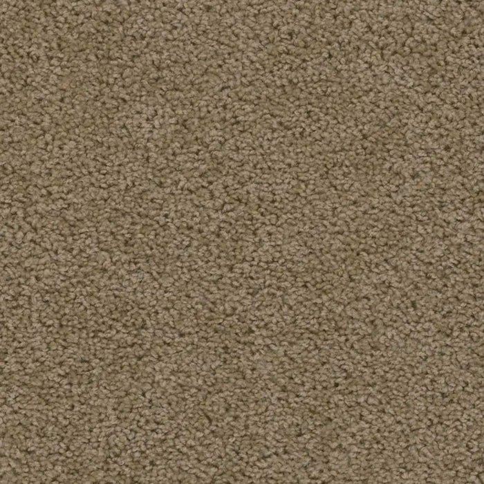 Sweepstakes in  honey Beige Carpet