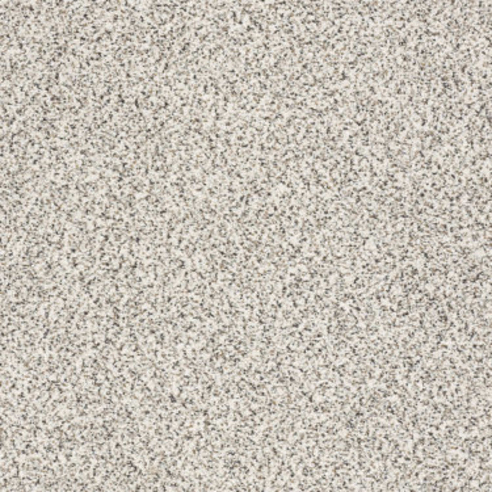 TAKE THE FLOOR ACCENT I in Avalanche Carpet