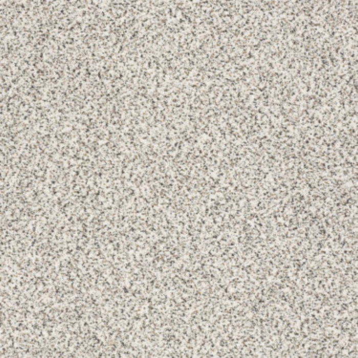 TAKE THE FLOOR ACCENT I in Avalanche Carpet