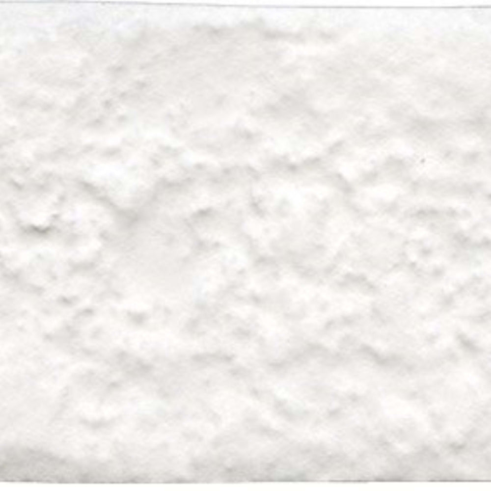 Brique in White 2" X 10" Tile