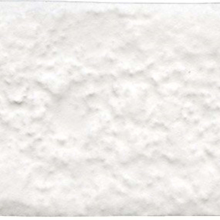 Brique in White 2" X 10" Tile