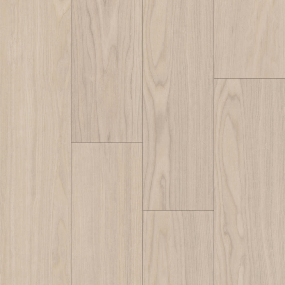 Bravo in Adalbero Ash Luxury Vinyl