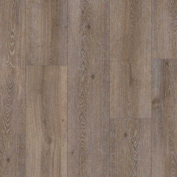 Prime XXL Collection in Cider Oak Luxury Vinyl