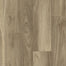 Applause Collection in Pumice Oak Luxury Vinyl