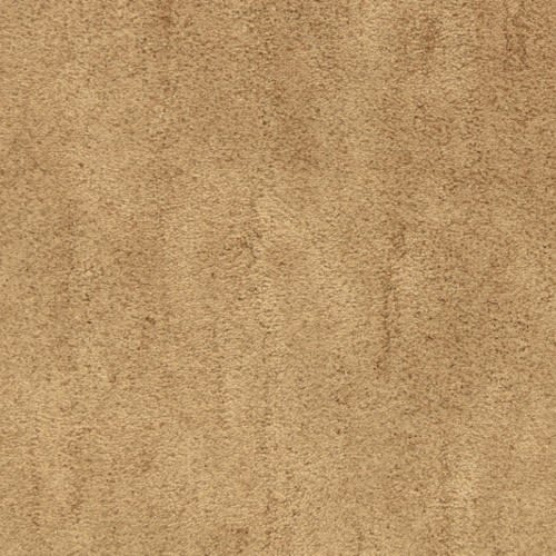 Desert Vista in Copper Creek Carpet