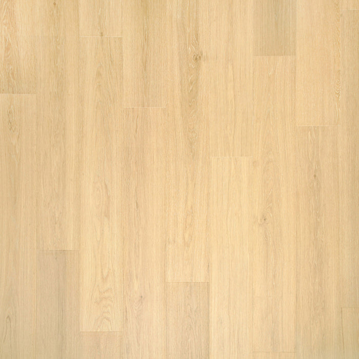 Andilet in Glazed Ginger Oak Laminate