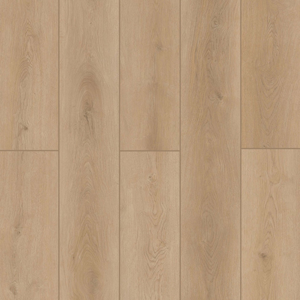 Indoor Delight in Forest Timber Luxury Vinyl