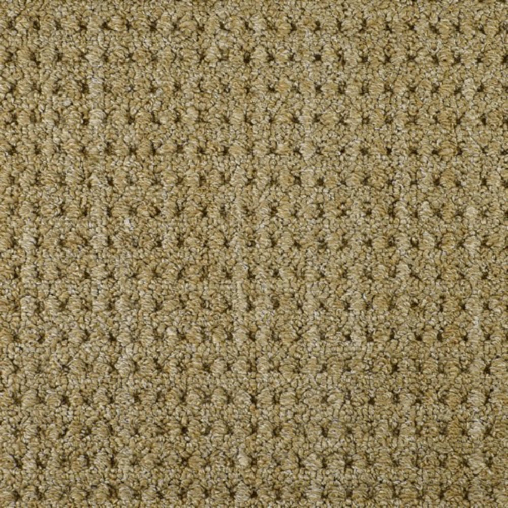 Savanna Weave in Acacia Carpet