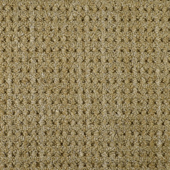 Savanna Weave in Acacia Carpet