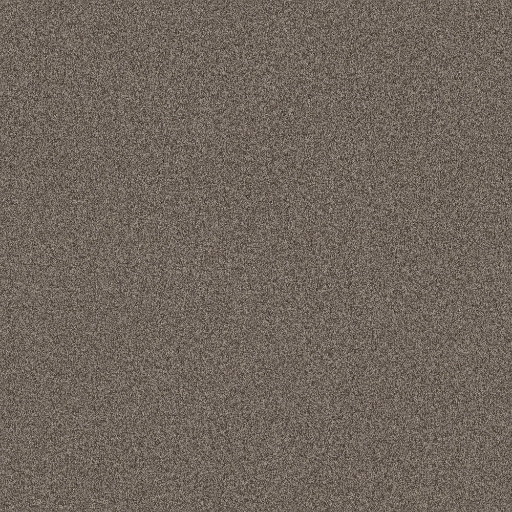 TERRA NOVA in Arrowhead Carpet