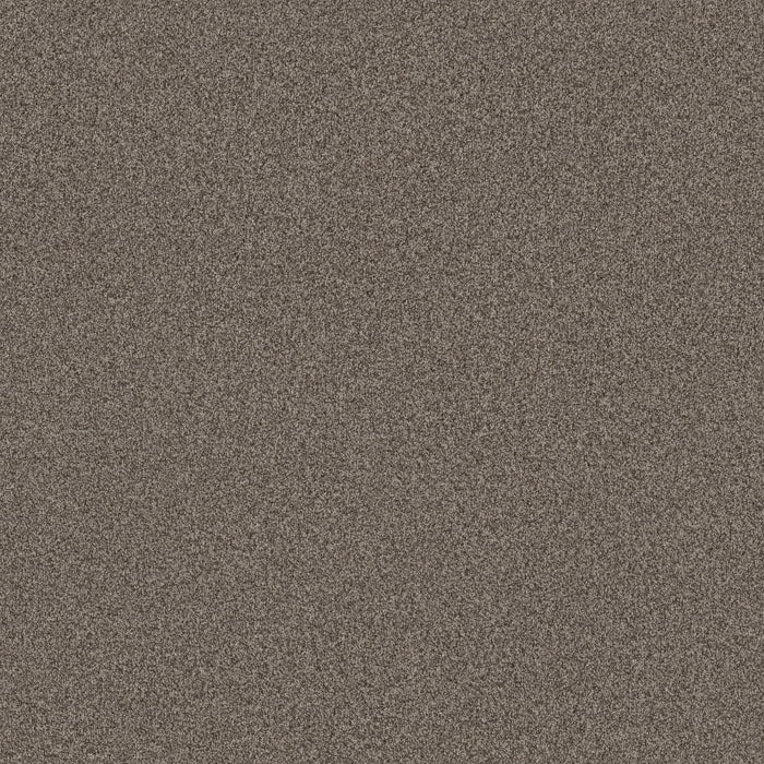 TERRA NOVA in Arrowhead Carpet