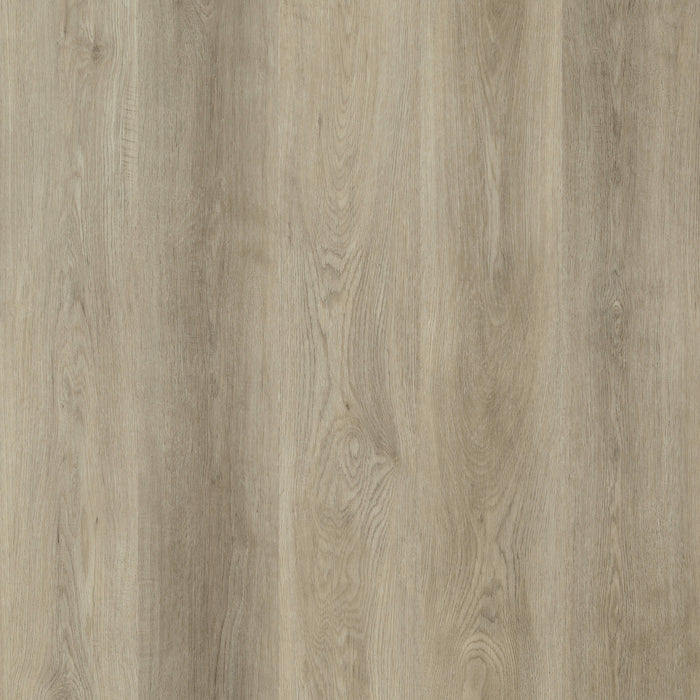 Sun Valley in Beach Wood Luxury Vinyl