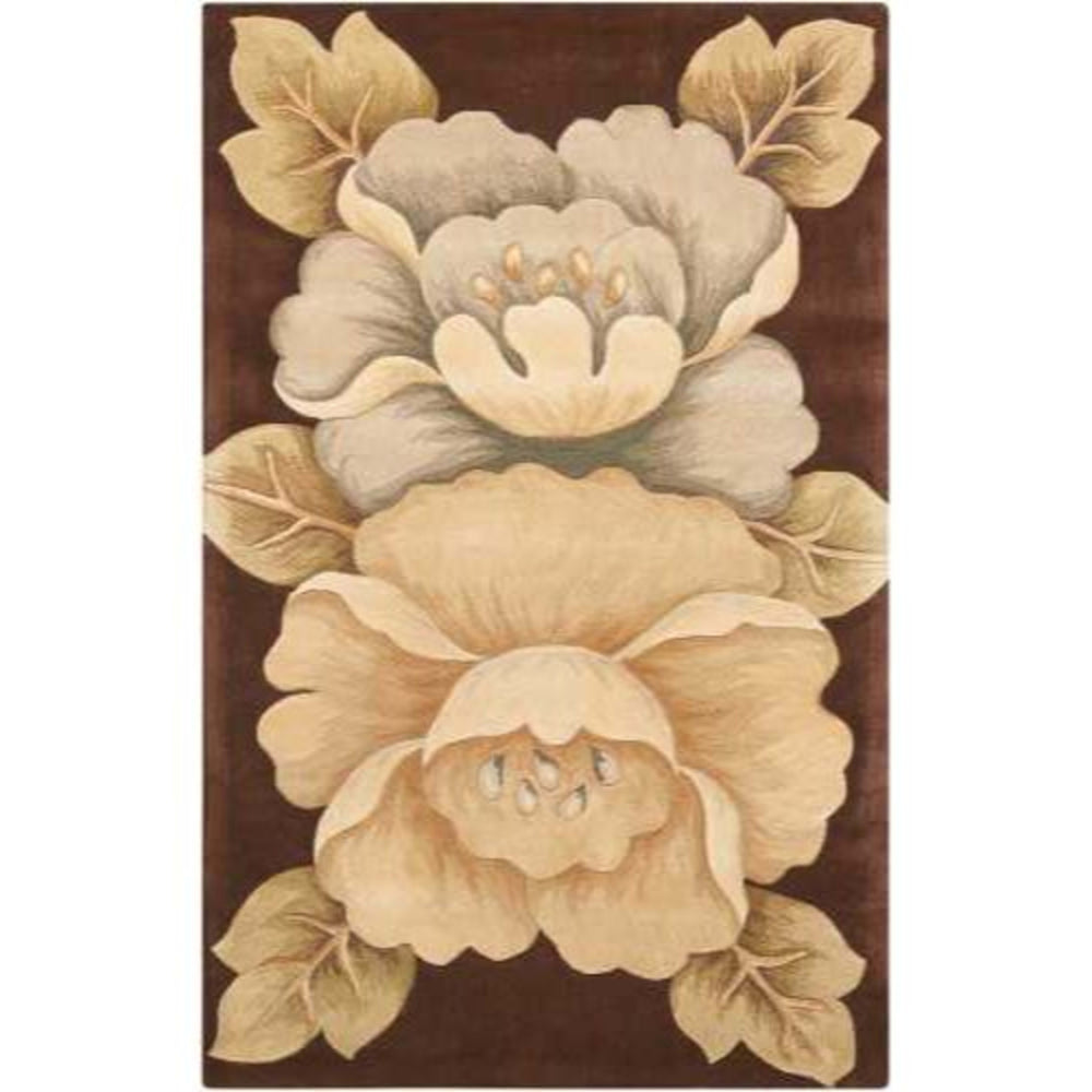 TROPICS TS09 in Brown Area Rugs