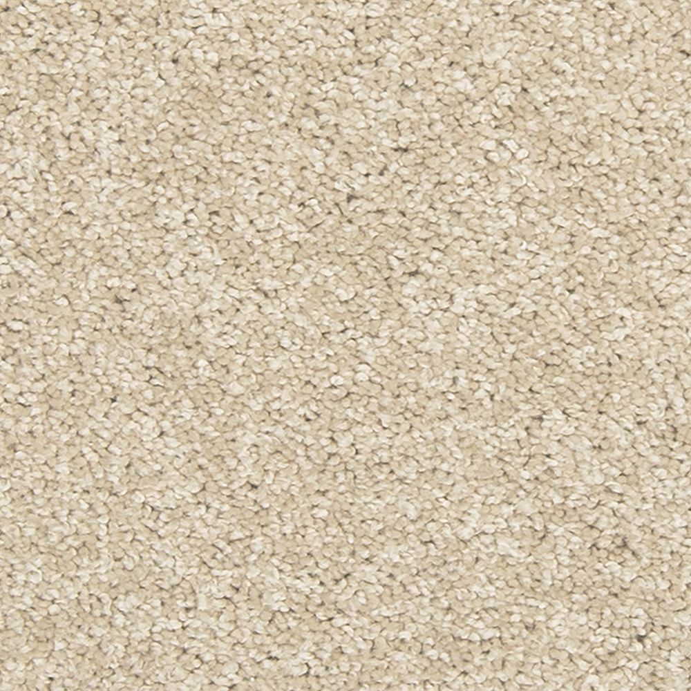 Mohawk Tectonic Carpet Flooring